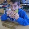 sandwich2011-05